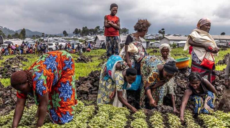 A Path Towards Recovery In The Democratic Republic Of The Congo