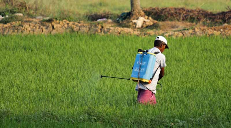 Spurious Pesticides, Farmer Awareness, and New Regulations: Highlights from Ministry of Agriculture’s Pivotal Meeting