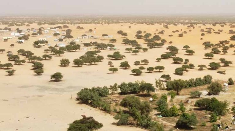 Giving Back To The Desert In Mauritania