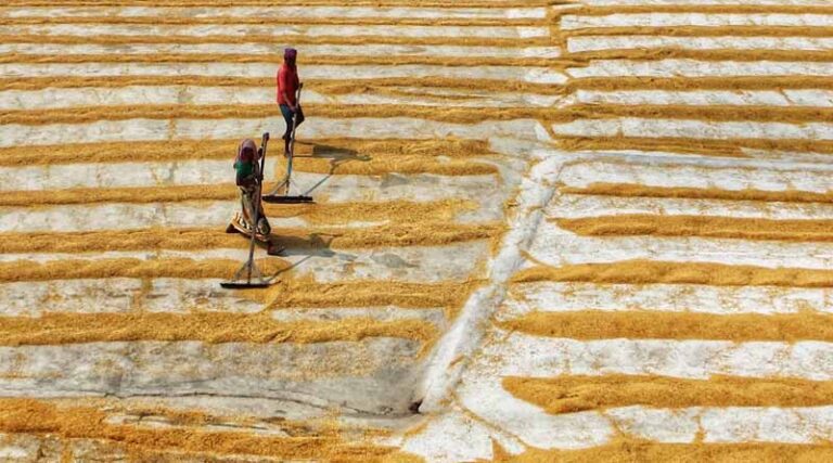 Government Grants for Food Processing Industries: Boosting Growth with Incentives and Support