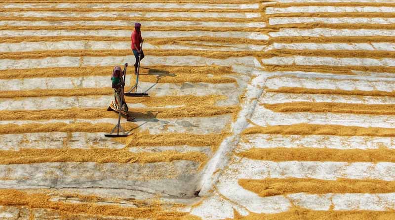 Government Grants for Food Processing Industries: Boosting Growth with Incentives and Support