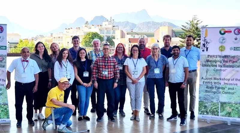 European Weed Research Society Working Groups Turn Focus On Biological Control Of Invasive Alien Plant Species