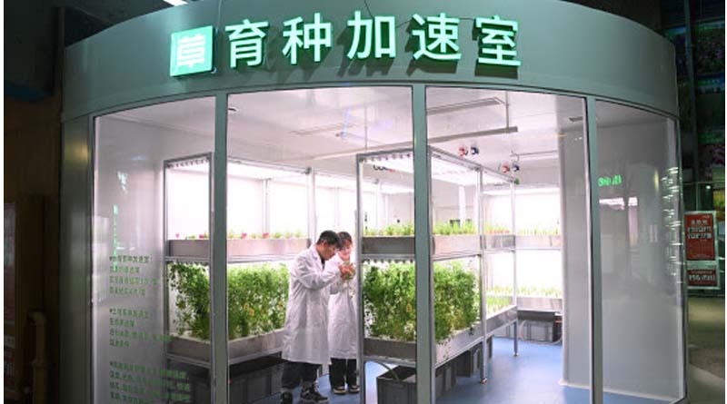China Focus: Technology Sows Seeds Of Hope In Combating Desertification