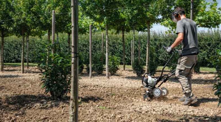 STIHL BC 230 PETROL TILLER