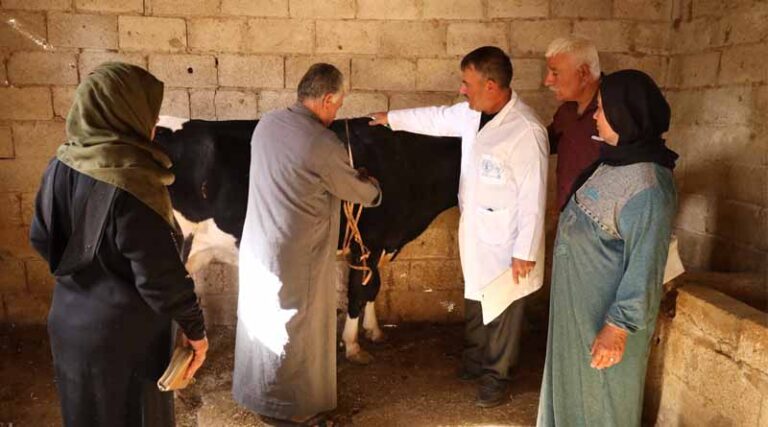 Revitalizing Syrian Agriculture Through Inclusivity And Innovation