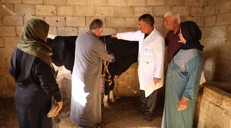 Revitalizing Syrian Agriculture Through Inclusivity And Innovation