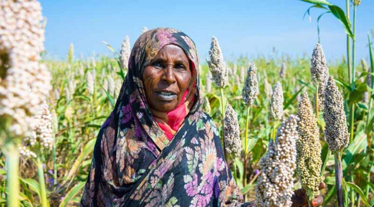 Food And Nutrition Crisis Deepens Across Sudan As Famine Identified In Additional Areas
