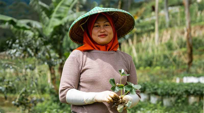 Global Environment Facility Approves $68 Million For Agrifood Systems Solutions