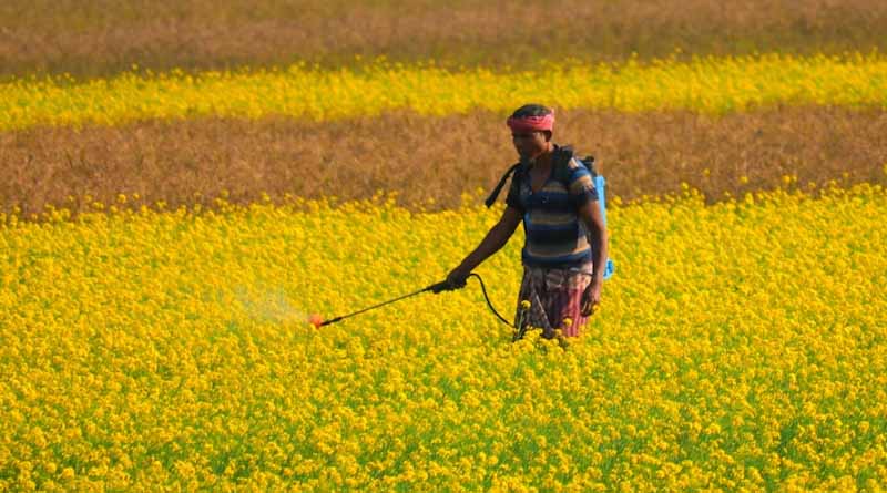 The Battle Over Agrochemical Data Protection: How It Impacts Farmers and Industry