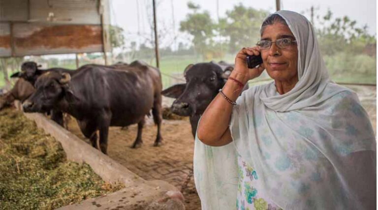 What Do We Know About The Future Of Agrifood Systems In South Asia?