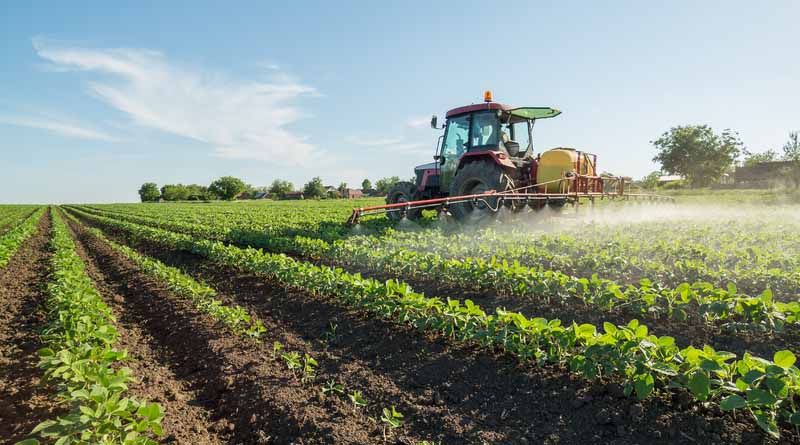 Victory! Federal Court Strikes Down Lax GMO Rules, Halts GE Crop Introductions Without USDA Oversight