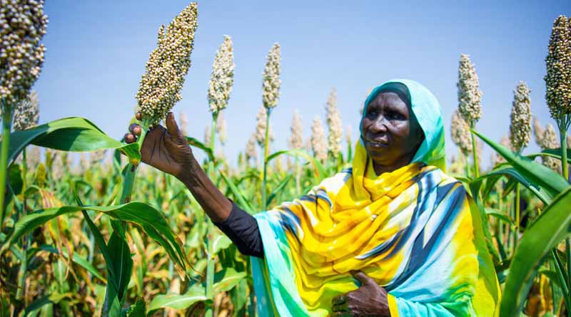 For 2025, FAO Seeks $1.9 Billion To Provide Life-saving, Emergency Agriculture Assistance To 49 Million People