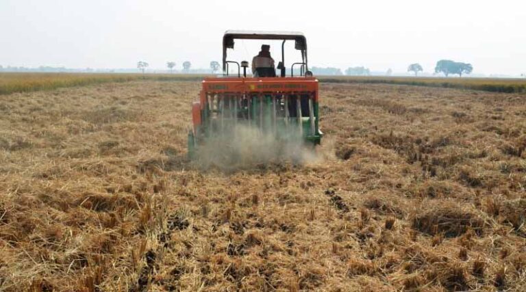 Strengthen The Soil, Strengthen The Future Of Agri-food Systems: The Economics Of Healthy Soils For Sustainable Food Systems