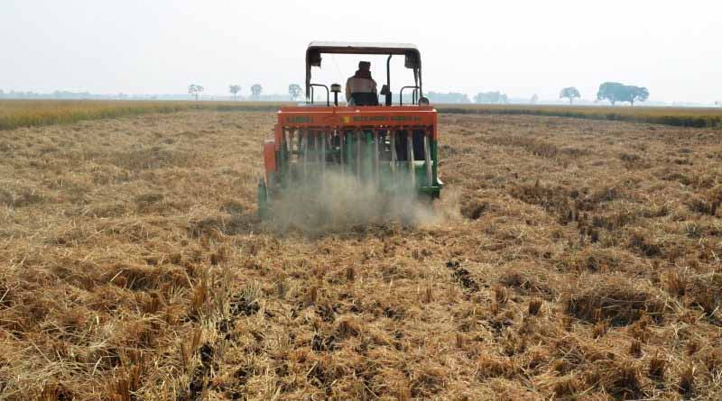 Strengthen The Soil, Strengthen The Future Of Agri-food Systems: The Economics Of Healthy Soils For Sustainable Food Systems