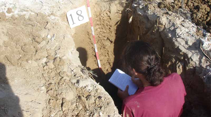 World Soil Day 2024 Underlines Vital Importance Of Accurate Soil Data And Information For Food Security