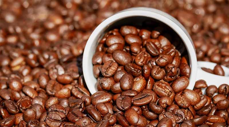 Scientists ‘turn Up The Heat’ On Understanding Coffee Wilt Disease Which Threatens Our Favourite Daily Brew