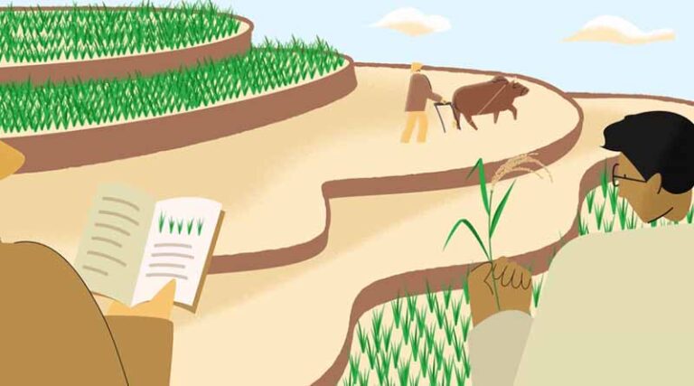 Rice: A Story of Heritage