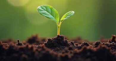 Soil Health And Soil Data Sharing For Food Security