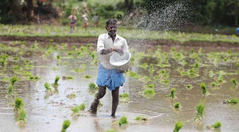 ₹65,695 Crore Paid to Farmers Under MSP for Paddy Procurement in KMS 2024-25