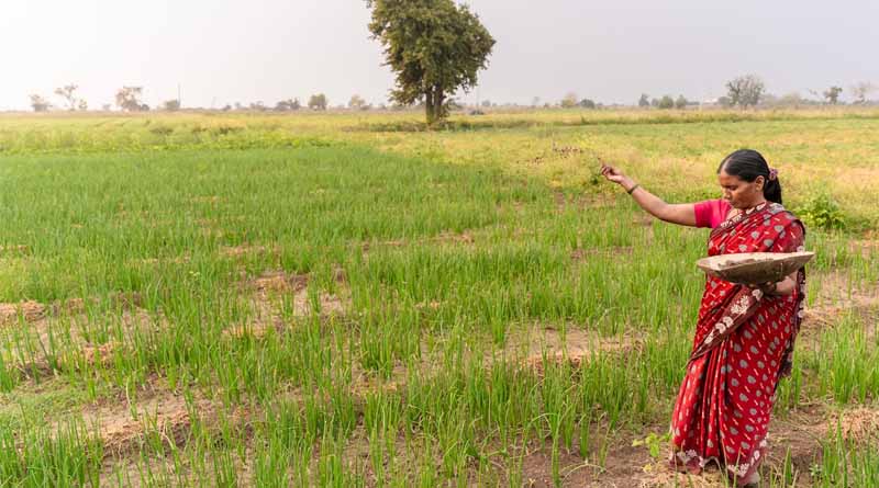 Rabi Sowing Update for 2024-25: Ministry of Agriculture Reports 7.31 Lakh Hectare Increase in Acreage