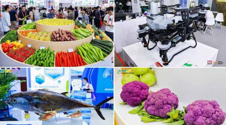 Over 2,000 Global Enterprises Join China (Hainan) International Trade Fair for Tropical Agricultural Products