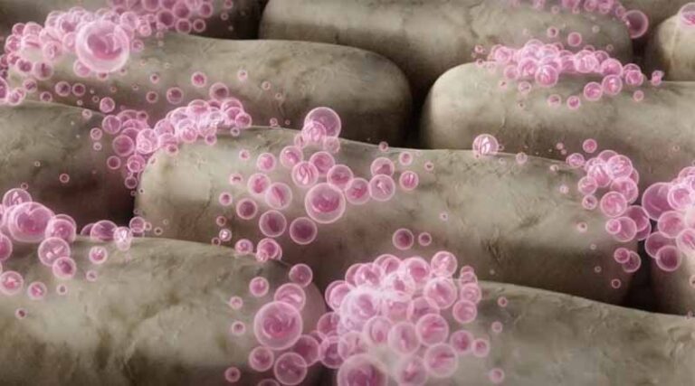 Nuello® iN: The Game-Changing Biological Seed Treatment