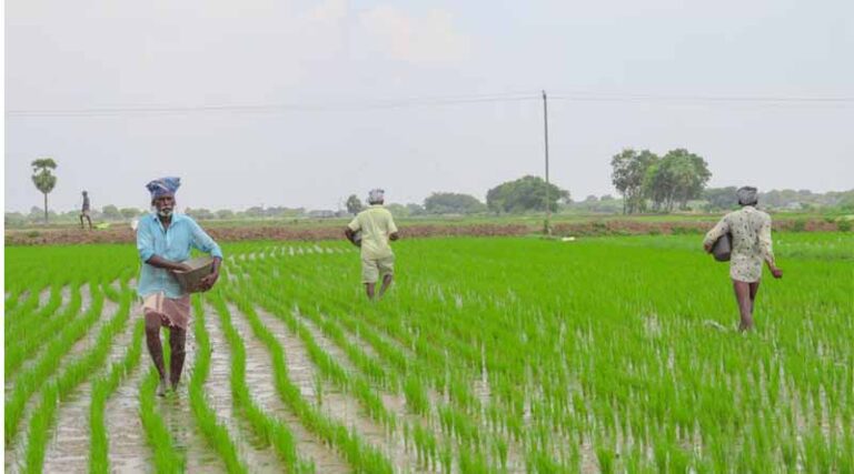 India Supplies 38.27 LMT DAP Against 35.52 LMT Pro-Rata Demand for Rabi 2024-25