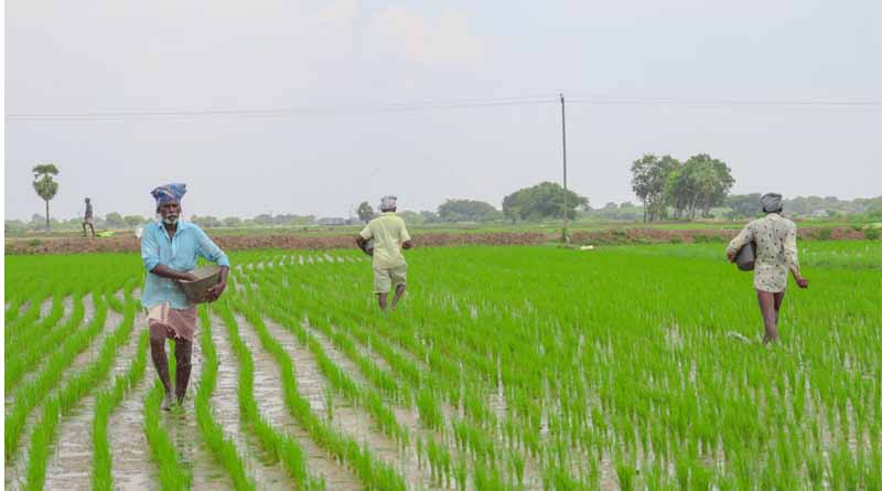 India Supplies 38.27 LMT DAP Against 35.52 LMT Pro-Rata Demand for Rabi 2024-25