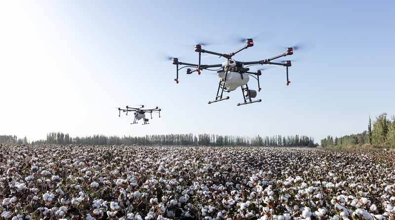 From Crop Health to Water Management: How India is Using AI to Boost Farming