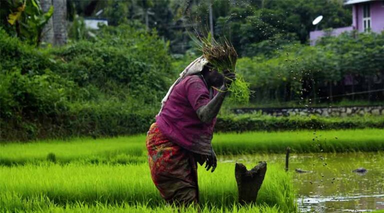 Driving Climate Resilience in Indian Agriculture: New Technologies, Risk Assessments, and Farmer-Centric Initiatives