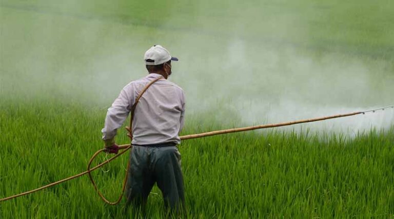 Transforming Agriculture: Government Launches ₹2817 Crore Digital Agriculture Mission