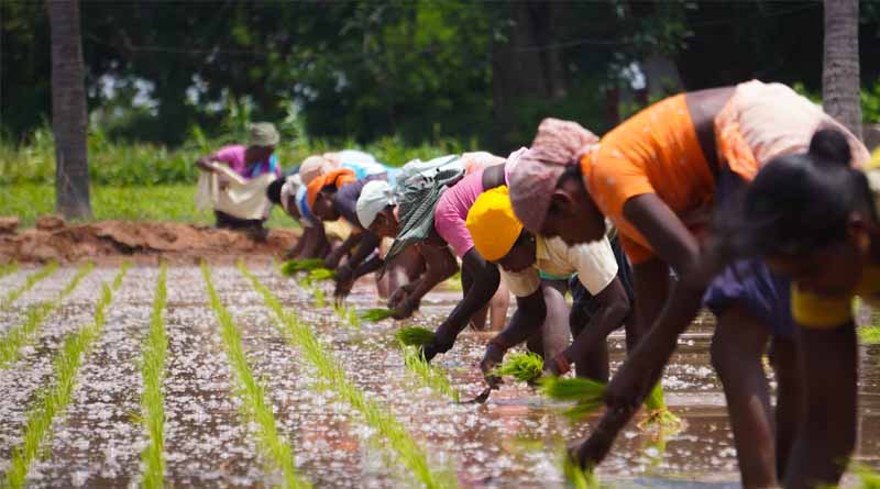 5 New Policy Initiatives in Agriculture Sector
