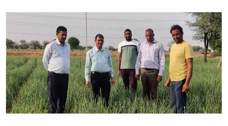 Pusa Riddhi Variety in Onion Yielding Bumper Harvests for Farmers Under TSP Scheme