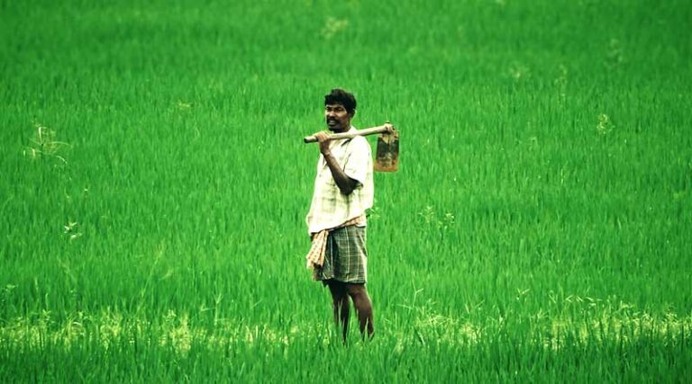 Audit of PM-KISAN To Identify Ineligible Beneficiaries
