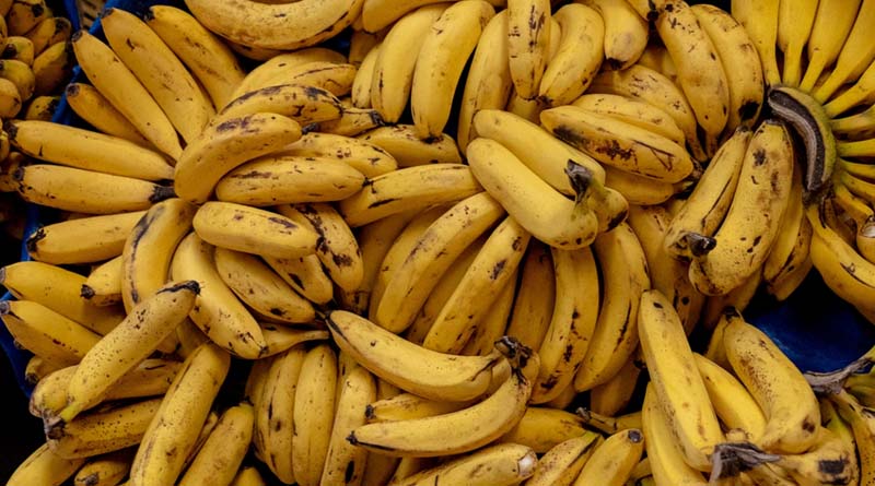 India Targets $1 Billion in Banana Exports, Eyes Russia as Key Market