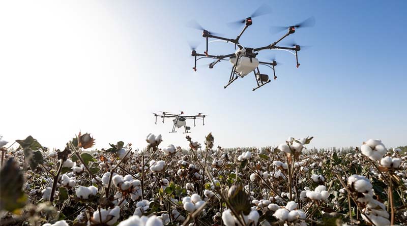 China and the Pesticide Market in Brazil