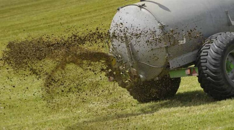 EPA Report Reveals Health Impacts of Toxic 'Forever Chemicals' in Sewage Sludge