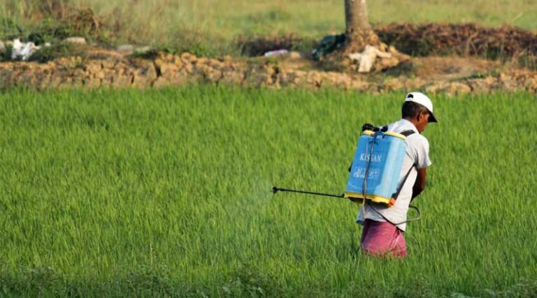 Agriculture Infrastructure Fund: How to Avail Benefits
