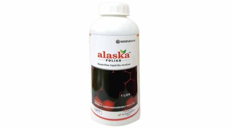 Alaska Foliar