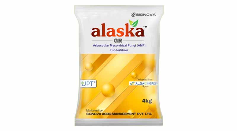 Alaska GR