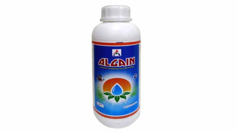 Algain