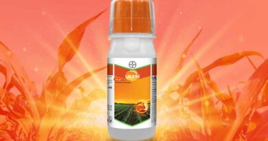 Laudis Herbicide by Bayer Crop Science