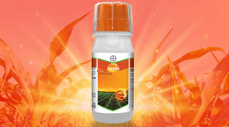 Laudis Herbicide by Bayer Crop Science