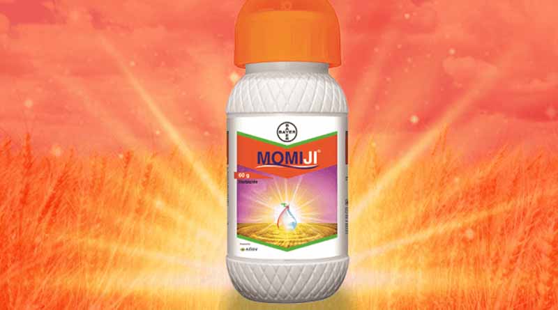 Momiji Herbicide by Bayer Crop Science