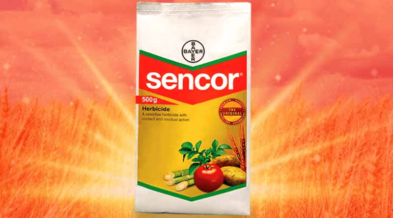Sencor Herbicide by Bayer Crop Science