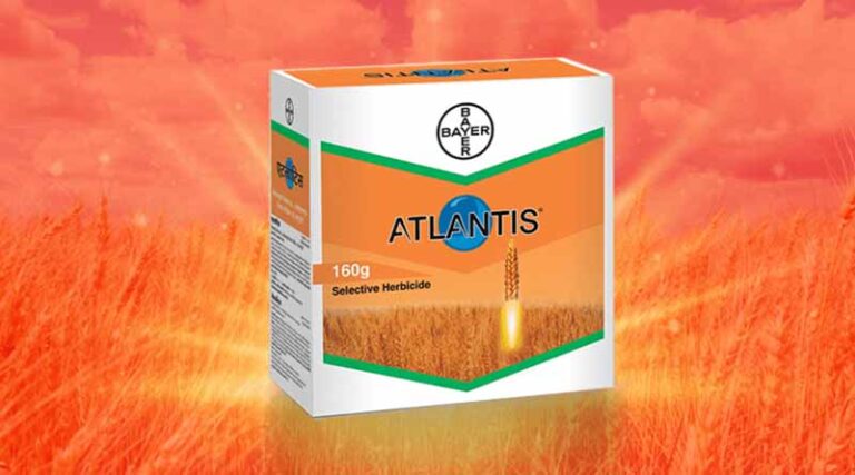 Atlantis Herbicide by Bayer Crop Science