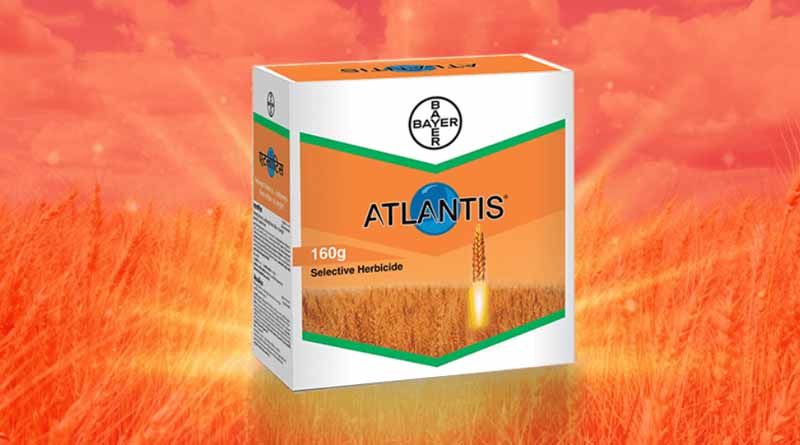 Atlantis Herbicide by Bayer Crop Science