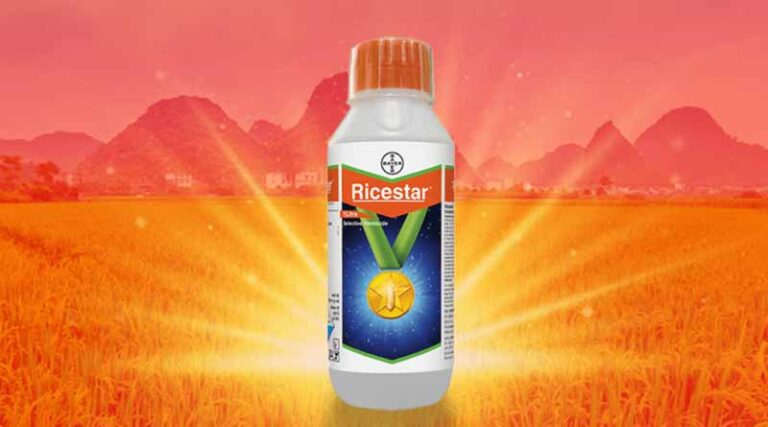 Ricestar Herbicide by Bayer Crop Science