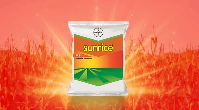 Sunrice Herbicide by Bayer Crop Science