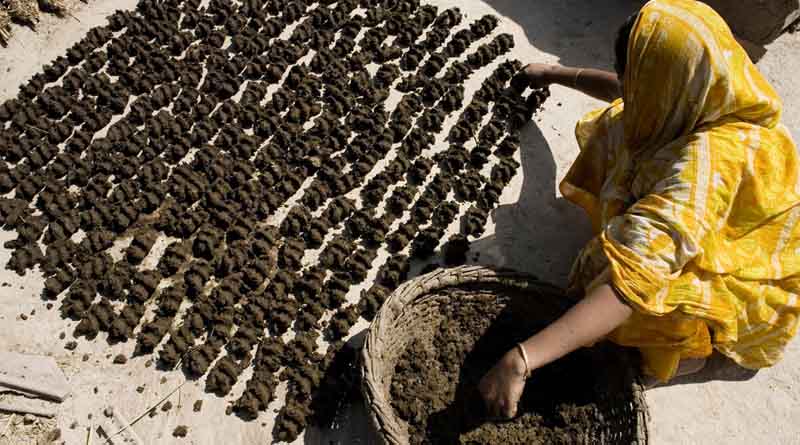 Nitrogen Use Efficiency Must Be Improved To Reduce Harm To Human And Environmental Health